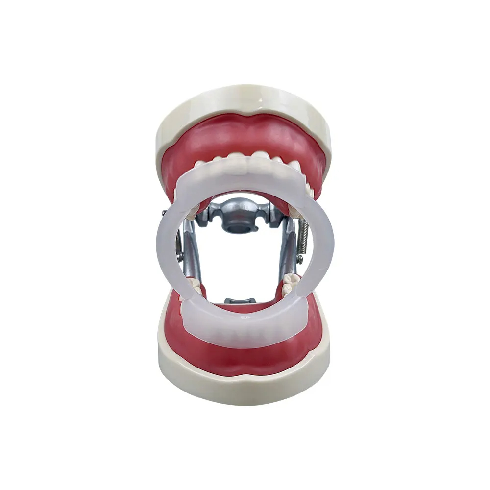 100個/袋入り 歯科用O型口腔内リップチークリトラクター  - Teeth Whitening For Braces のレビューと価格